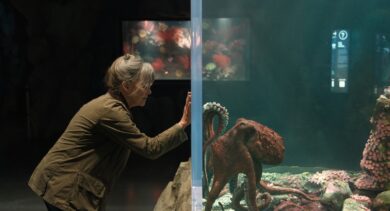Netflix con los estrenos destacados de series y películas para mayo de 2026 en México. Llega la cinta Criaturas luminosas.