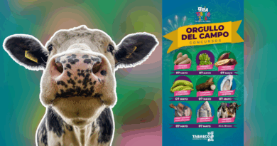 Cartel informativo de los concursos Orgullo del Campo de la Feria Tabasco 2026 con imágenes de productos regionales.