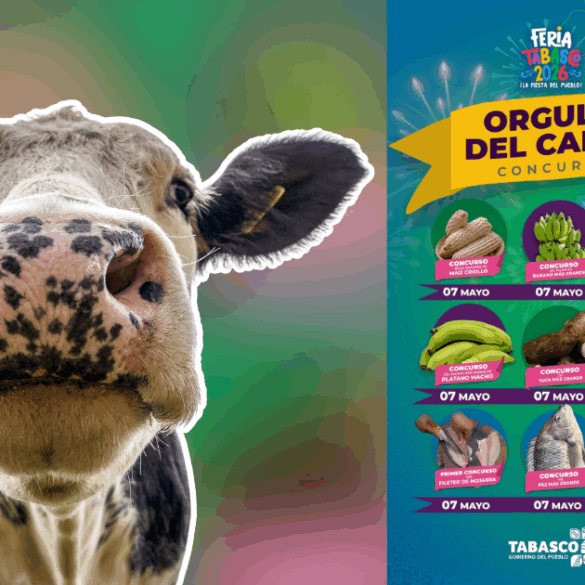 Cartel informativo de los concursos Orgullo del Campo de la Feria Tabasco 2026 con imágenes de productos regionales.