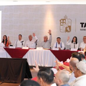Consejo Estatal de Movilidad de Tabasco durante votación para eliminar el taxímetro