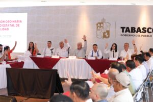 Consejo Estatal de Movilidad de Tabasco durante votación para eliminar el taxímetro