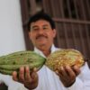 Productores de cacao en Comalcalco, Tabasco participan en proyecto de Chocolate Bienestar impulsado por el Gobierno de México.