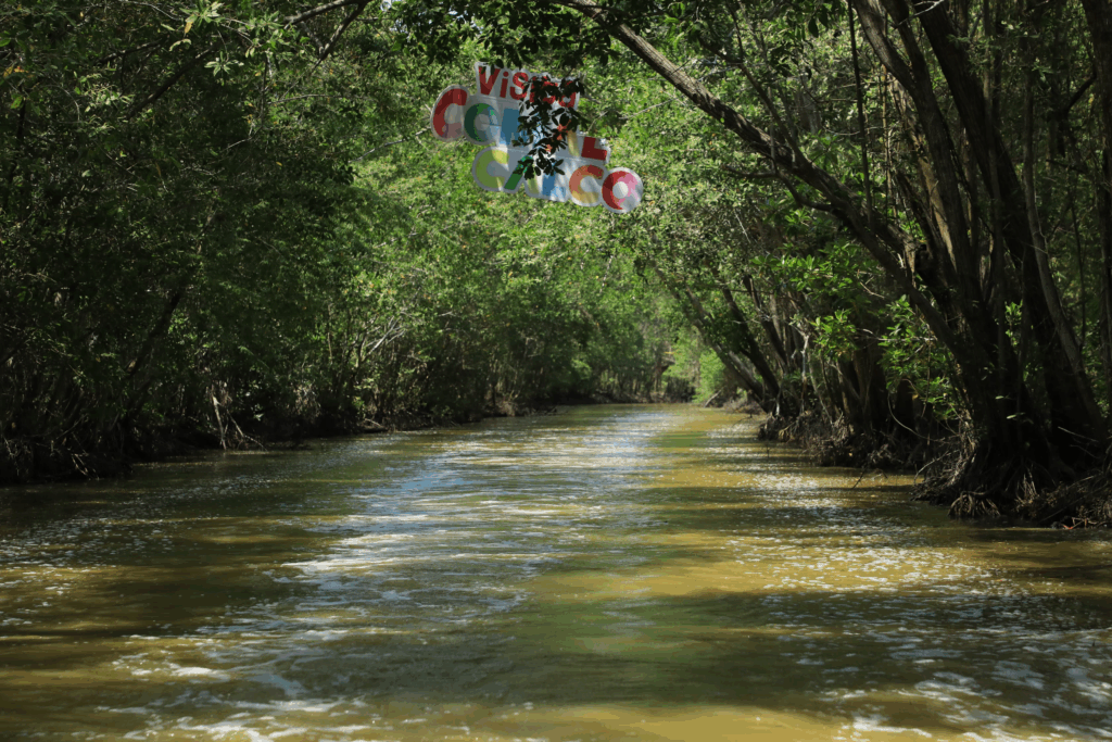 Canal rodeado de manglares en Cinco Lagunas con señal turística de Comalcalco.