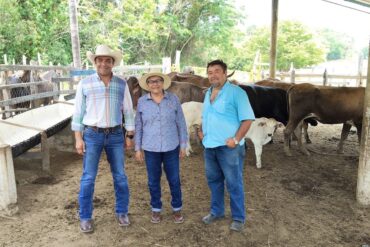 Autoridades de la SEDAP supervisan avances del programa Crédito Ganadero en unidades productivas de Macuspana, Tabasco.