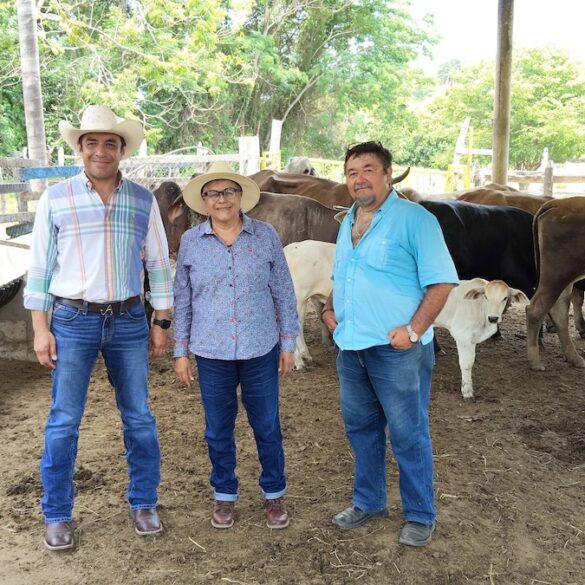 Autoridades de la SEDAP supervisan avances del programa Crédito Ganadero en unidades productivas de Macuspana, Tabasco.