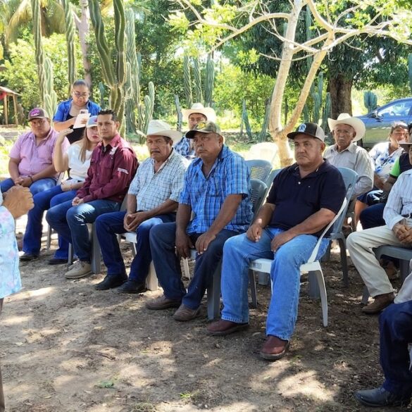 Productores realizan diagnóstico de gestación en ganado durante jornada pecuaria en Emiliano Zapata, Tabasco.