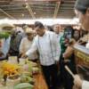 Gobernador Javier May Rodríguez examina granos de cacao en el stand agropecuario durante la Feria Tabasco 2026