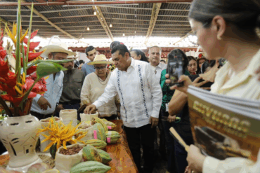 Gobernador Javier May Rodríguez examina granos de cacao en el stand agropecuario durante la Feria Tabasco 2026