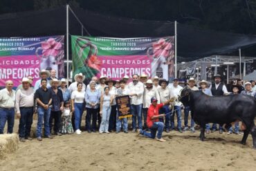 Productores y autoridades en la Pista Ganadera durante la Feria Tabasco 2026 premiando bovinos Simbrah.