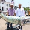 Exposición Pegelagarte en Nacajuca con esculturas monumentales intervenidas por artistas tabasqueños.