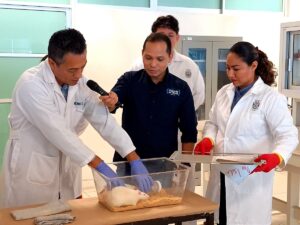 Investigadores de la UJAT en Comalcalco realizan estudios sobre síndrome metabólico y daños celulares provocados por exceso de azúcar.