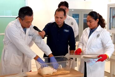 Investigadores de la UJAT en Comalcalco realizan estudios sobre síndrome metabólico y daños celulares provocados por exceso de azúcar.