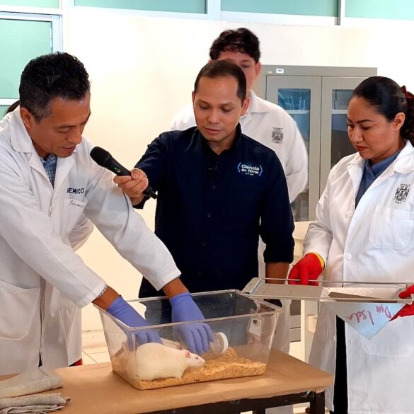 Investigadores de la UJAT en Comalcalco realizan estudios sobre síndrome metabólico y daños celulares provocados por exceso de azúcar.