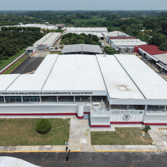 Vista aérea de la planta de producción de moscas estériles contra el gusano barrenador en Metapa, Chiapas.