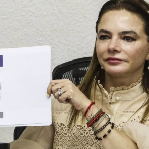 Consejera del INE Carla Humphrey muestra el documento ABC de la Credencial para Votar durante conferencia de prensa