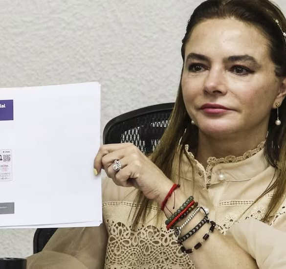 Consejera del INE Carla Humphrey muestra el documento ABC de la Credencial para Votar durante conferencia de prensa