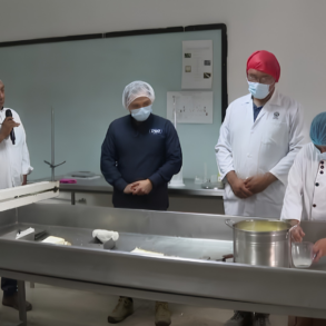 Investigadores y estudiantes de la UJAT impulsan proyectos de innovación alimentaria para fortalecer la producción regional en Tabasco.