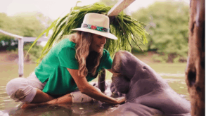 Montserrat Oliver sentada en el agua del Santuario Jonuteek, Jonuta, Tabasco, extendiendo las manos hacia la manatí Canela en el programa México Increíble