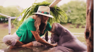 Montserrat Oliver sentada en el agua del Santuario Jonuteek, Jonuta, Tabasco, extendiendo las manos hacia la manatí Canela en el programa México Increíble