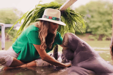 Montserrat Oliver sentada en el agua del Santuario Jonuteek, Jonuta, Tabasco, extendiendo las manos hacia la manatí Canela en el programa México Increíble