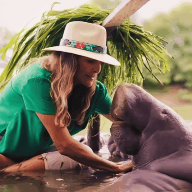 Montserrat Oliver sentada en el agua del Santuario Jonuteek, Jonuta, Tabasco, extendiendo las manos hacia la manatí Canela en el programa México Increíble