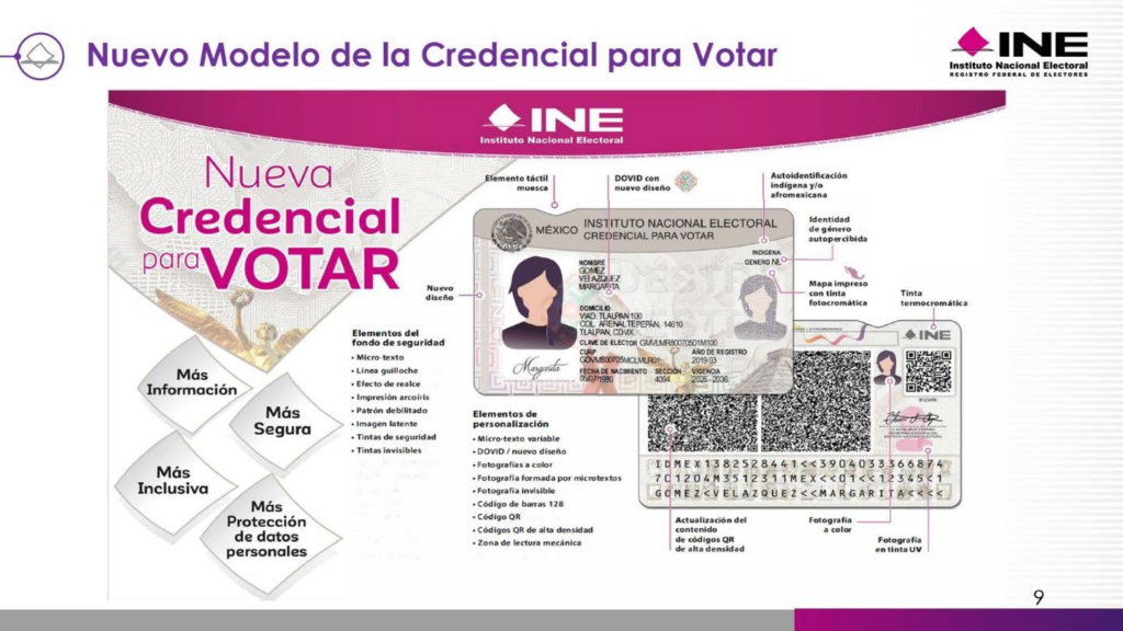 Infografía del INE con el nuevo modelo de credencial para votar, sus elementos de seguridad, autoidentificación indígena e identidad de género autopercibida