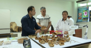Investigadores de la UJAT trabajan en la conservación de la flora de Tabasco mediante bancos genéticos y estudios de biodiversidad.