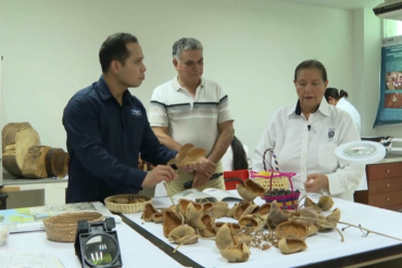 Investigadores de la UJAT trabajan en la conservación de la flora de Tabasco mediante bancos genéticos y estudios de biodiversidad.
