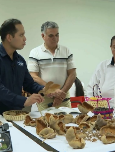 Investigadores de la UJAT trabajan en la conservación de la flora de Tabasco mediante bancos genéticos y estudios de biodiversidad.