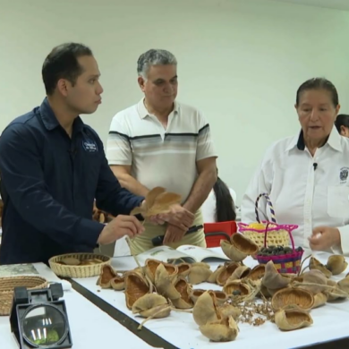 Investigadores de la UJAT trabajan en la conservación de la flora de Tabasco mediante bancos genéticos y estudios de biodiversidad.