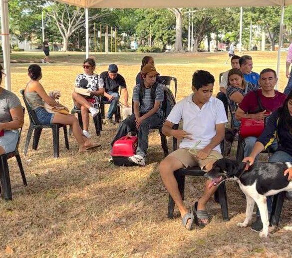 Especialistas realizan una jornada de esterilización gratuita de mascotas en el parque La Choca de Villahermosa, Tabasco.