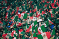Aficionados mexicanos ondean banderas en una tribuna llena antes del partido contra Inglaterra.