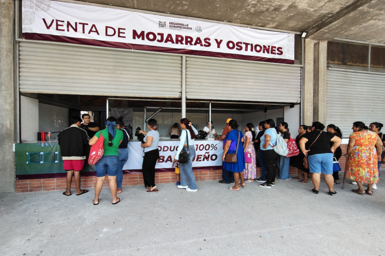 Fila de personas en punto de venta de Pescando Vida en Cunduacán