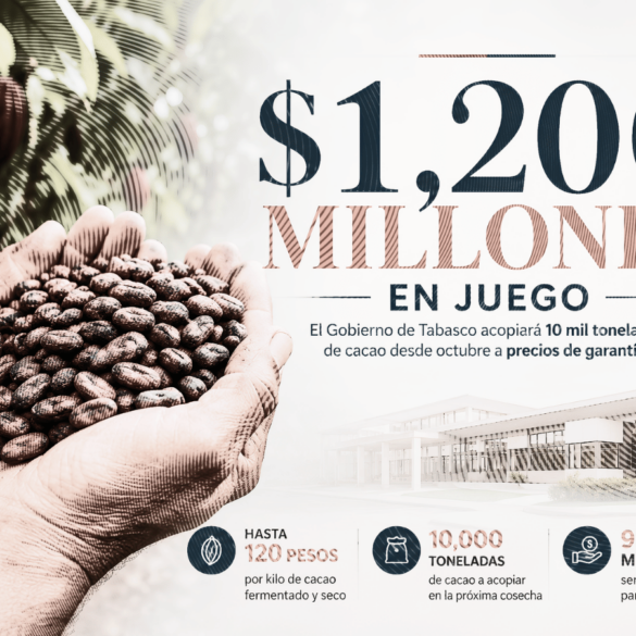 Ilustración editorial sobre el nuevo precio de garantía del cacao en Tabasco, con granos de cacao en primer plano y la proyección de una derrama de hasta 1,200 millones de pesos por el acopio de 10 mil toneladas.