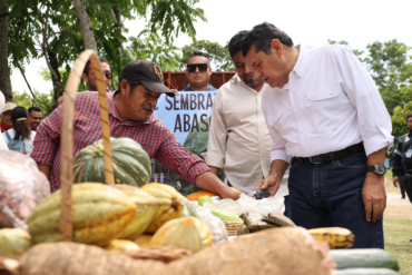Javier May observa productos cultivados por beneficiarios de Sembrando Vida en Macuspana