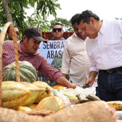 Javier May observa productos cultivados por beneficiarios de Sembrando Vida en Macuspana