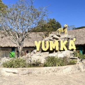 Safari en el Yumká Tabasco, uno de los parques ecológicos más importantes del sureste de México.