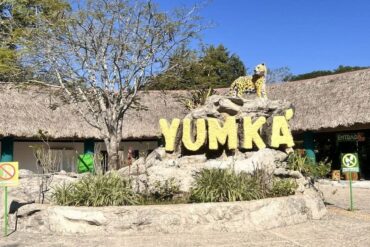 Safari en el Yumká Tabasco, uno de los parques ecológicos más importantes del sureste de México.