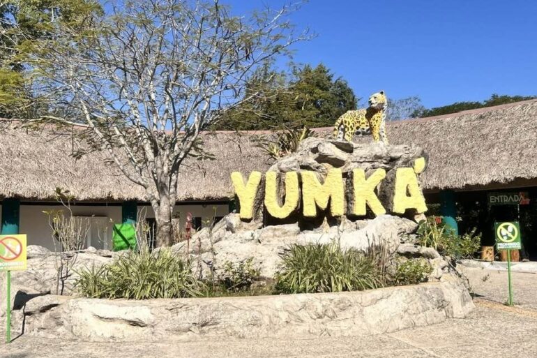Safari en el Yumká Tabasco, uno de los parques ecológicos más importantes del sureste de México.