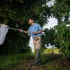 Investigadores de la UJAT estudian abejas nativas en la Reserva de la Biosfera Wanha’