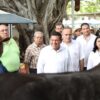 Javier May recorre la Muestra Mexicana del Cebú en el Parque Tabasco