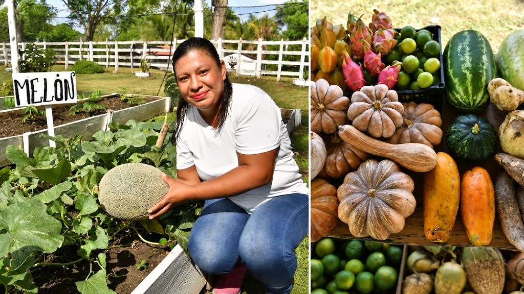 Productora con un melón junto a cosecha diversificada de Sembrando Vida en Tenosique