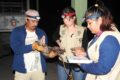 Tlacuache en Tabasco, especie estudiada por investigadores de la UJAT para contribuir a su conservación