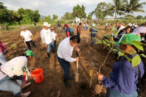Jornada de reforestación en Tabasco con participantes sembrando árboles en un terreno abierto