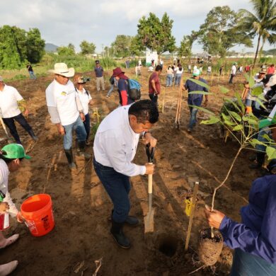 Jornada de reforestación en Tabasco con participantes sembrando árboles en un terreno abierto