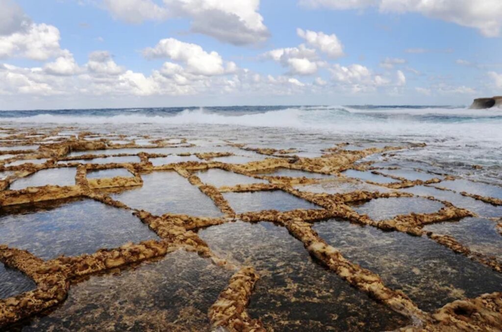 Pozas de evaporación de agua salada junto al mar, imagen ilustrativa del proceso de separación de sales en salmueras