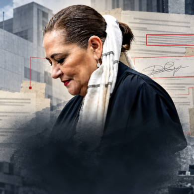 Guadalupe Taddei en composición editorial sobre la sucesión del INE, con documentos de contratos investigados y elementos de la institución electoral.