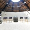 Cabeza colosal olmeca al centro de la sala de exhibición renovada del Parque Museo La Venta, con esculturas a los lados y paneles fotográficos