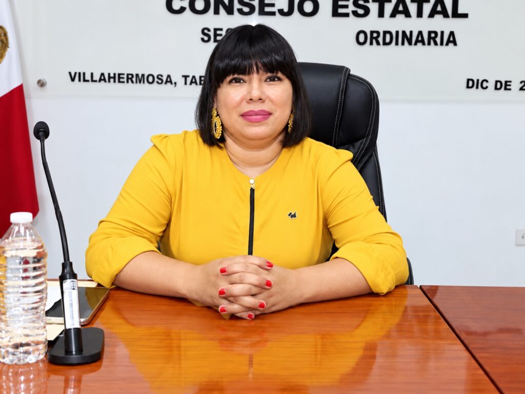 Dina María Gómez Hernández, perfil propuesto para ocupar la Secretaría Ejecutiva del IEPCT, durante una sesión del Consejo Estatal.