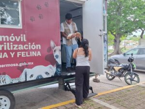 Jornada de esterilización y vacunación gratuita para perros y gatos en el parque La Choca, en Villahermosa.